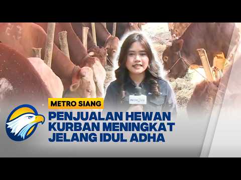Jelang Iduladha Penjualan Hewan Kurban di Pesanggrahan Jaksel, Mulai Ramai Pembeli - [Metro Siang] thumbnail