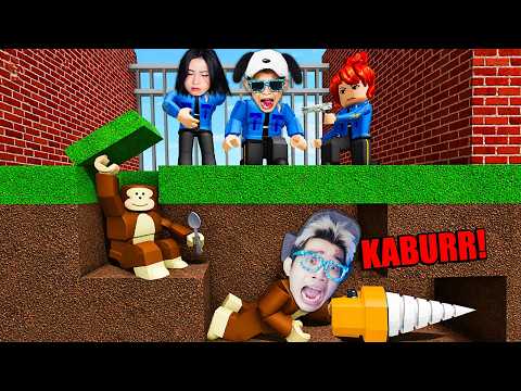 GILA!!! Jadi Monyet Kabur dari Kebun Binatang di Escape the Zoo ROBLOX 🙊🙊🙊 thumbnail