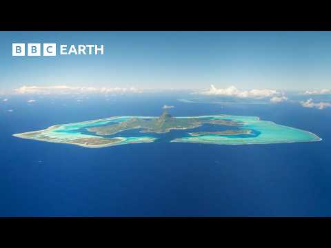 The Hidden Worlds of the South Pacific Islands | BBC Earth thumbnail