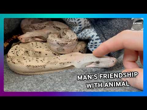 Animals Trust This Man Completely ❤️ thumbnail