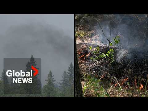 Saskatchewan wildfires: Residents near Prince Albert ordered to evacuate, heat warnings in place thumbnail