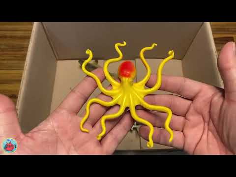 Let's learn the shapes and names of amazing and mysterious marine animals with toys. thumbnail