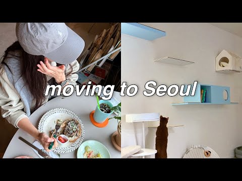 ? 사실 이사를 한 이유는 . . 엄청난 쇼핑ㅣ지은씨와의 동거ㅣ환승연애 리액션ㅣ그릇, 이불, 장어구이 thumbnail