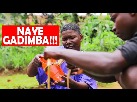 NAYE GADIMBA!!! thumbnail