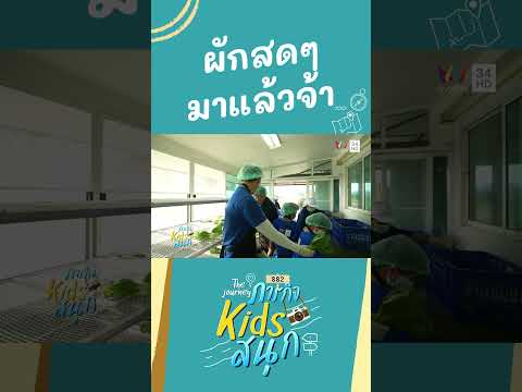 ผักสดๆ มาแล้วจ้า  | ภารกิจKIDSสนุก HIGHLIGHT thumbnail
