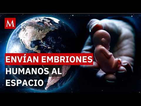 ¿El primer bebé espacial? El polémico experimento en la estación Tiangong bajo microgravedad thumbnail