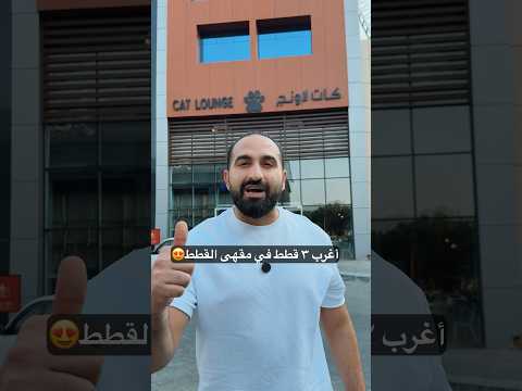 اغرب ثلاث قطط في كات لاونج جده thumbnail