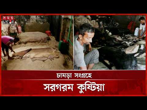 জেলার বাইরে থেকে কুষ্টিয়ায় আসছে কোরবানির পশুর চামড়া | Kushtia Leather News | Somoy TV thumbnail