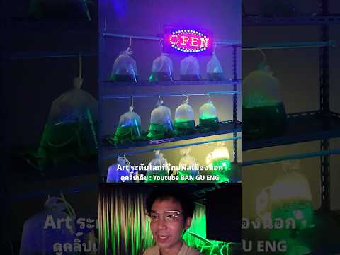 Art ระดับโลกที่ไทย ฟิลเมืองนอก (Thailand Biennale Phuket) #ภูเก็ต  #biennale  #เมืองนอก  #art  #ไทย thumbnail