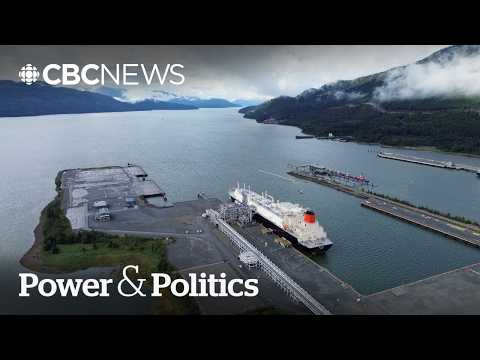 'Canada has a lot to offer': German ambassador on landmark LNG deal, future deals | Power & Politics thumbnail