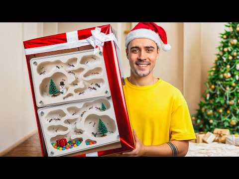 NOWY ŚWIĄTECZNY BIOM DLA MRÓWEK 🐜🎄 thumbnail
