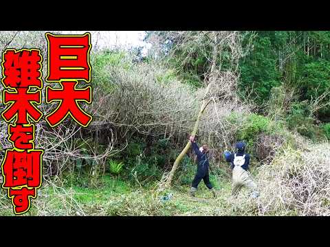 【山復興第2弾#98】筍掘りの師匠に認められた男！？ thumbnail