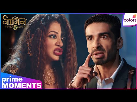 Naagin S5 | Highlights | Ep. 93 | Jay Kills MarKat! The Most Brutal Betrayal Ever | Colors TV thumbnail