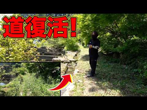 【山復興第2弾#127】草でうめつくされた道が綺麗に復活！！ thumbnail