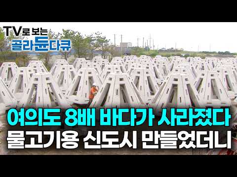 여의도 8배 바다가 사라졌다. 대한민국 바다에 8.8톤 콘크리트 아파트 무더기로 던졌더니｜지구온난화로 민둥산처럼 변한 바다의 충격적인 모습｜바다 식목일｜하나뿐인 지구｜#골라듄다큐 thumbnail
