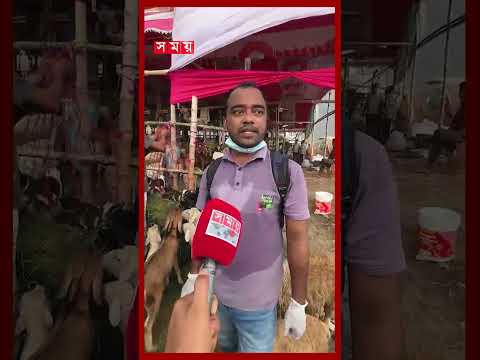 হাটে কোরবানির পশুদের করা হচ্ছে পিপিআর ভাইরাস টেস্ট #qurbani #eiduladha #gorurhaat2026 #somoytv thumbnail