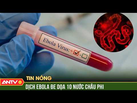 Cảnh báo khẩn về nguy cơ dịch Ebola lan rộng tại 10 nước châu Phi | ANTV thumbnail