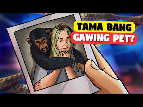 Ang Maamong Chimpanzee na di Dapat Inalagaan thumbnail