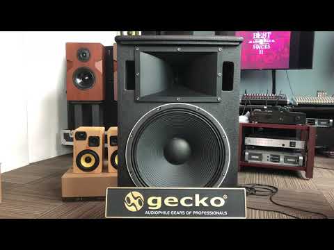 Do That To Me One More Time | The GECKO® REVELATION SR 615RF thumbnail
