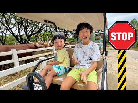 Yejun's Family Trip with Learn Hotel Rules of Conduct for Kids thumbnail