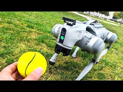 Asi son los Perros Robot | 140.000$ vs 3.000$ (Boston Dynamics vs Copias) thumbnail
