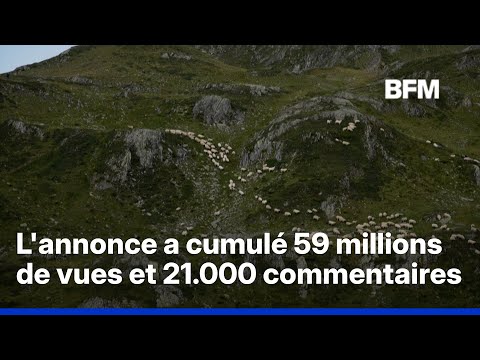 Chine: une offre d'emploi de berger devient virale thumbnail