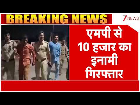 Madhya Pradesh News: एमपी से 10 हजार का इनामी गिरफ्तार | Crime | Breaking News | Ujjain Police thumbnail