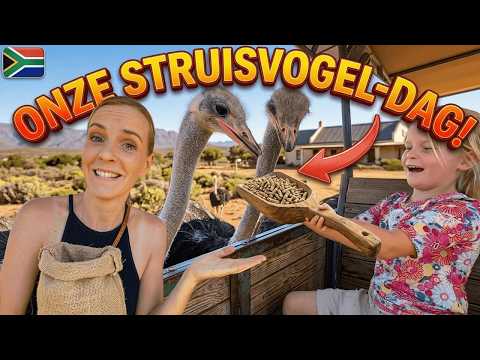 DIT hadden NIET VERWACHT bij STRUISVOGELBOERDERIJ 😱( Oudthoorn) 🇿🇦 | Bellinga Vlog #3528 thumbnail