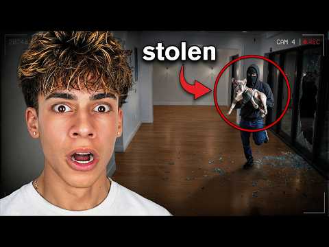 WHO STOLE MY DOG?? thumbnail