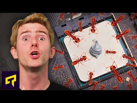 Are ANTS Eating Your Thermal Paste? thumbnail