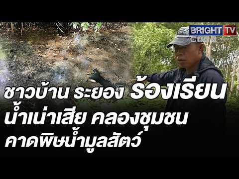 เทศบาลชากบกรุดเก็บตัวอย่างน้ำในคลองหมู่3หลังชาวบ้านร้องเรียนน้ำเน่าเสีย คาดพิษน้ำมูลสัตว์ฟาร์มขี้วัว thumbnail