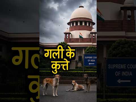 गली के कुत्ते || आचार्य प्रशांत thumbnail