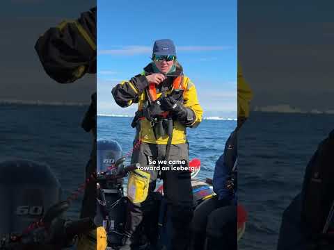 Chased by a Leopard Seal in Antarctica | The Dodo thumbnail