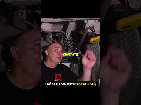 Сайлентблоки из БЕРЕЗЫ😨Что будет? #авто #эксперименты thumbnail