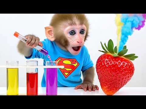 Monkey Baby Bon Bon and the Duckling: Facing the Fiery Disaster in the Laboratory thumbnail