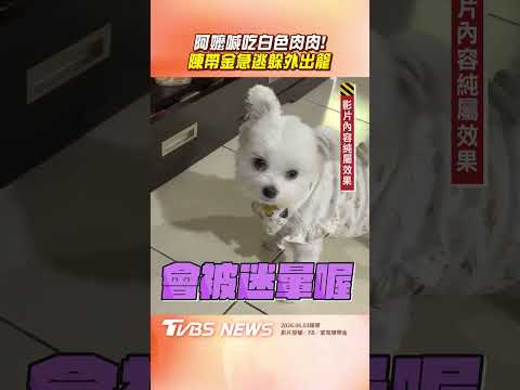 阿嬤出招誘惑喊「吃白色肉肉」　汪孫陳帶金急逃跑滿臉拒絕 thumbnail