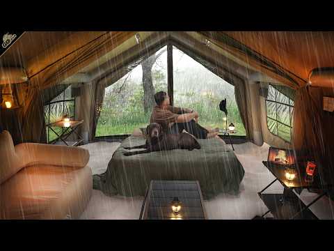 SOLO Camping in HEAVY RAIN in a Giant Tent 🌧️ Storm outside, Cozy Comfort inside | Relaxing ASMR thumbnail