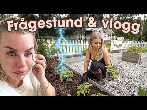 Midsommarfiasko, tråkiga besked & svar på frågor thumbnail