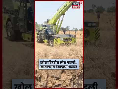 Satara News | 40 फूट खोल विहिरीत म्हैस पडली! साताऱ्यातलं रेस्क्यू ऑपरेशन | N18S | Marathi News thumbnail