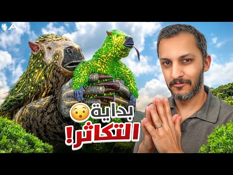 أرك فالكونز #2 thumbnail