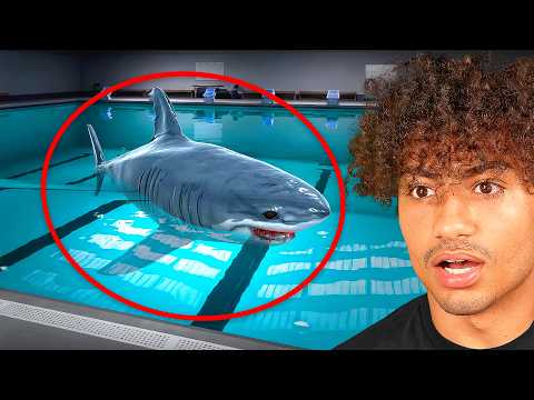 SWIMMING IN A SHARK INFESTED POOL.. thumbnail