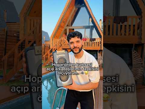 Villada kurt mu var? 😂🐺 thumbnail