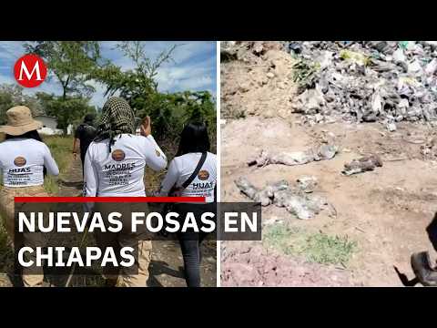 Madres Buscadoras rompen el cerco del miedo y localizan múltiples restos humanos en la sierra thumbnail