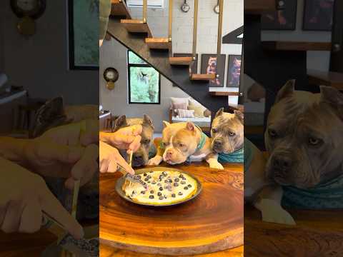 Pizza de Aveia com Banana Recheado com Iogurte Natural e Mirtilos thumbnail