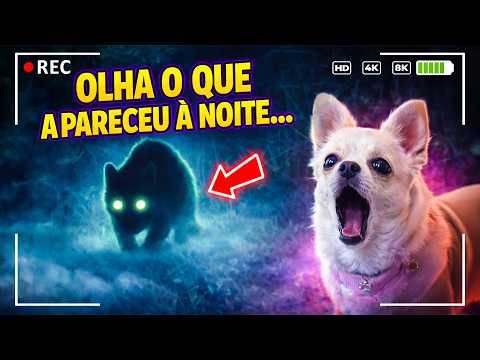 COLOCAMOS UMA CÂMERA NOTURNA NA MATA DE BROTAS E ENCONTRAMOS ISSO! thumbnail