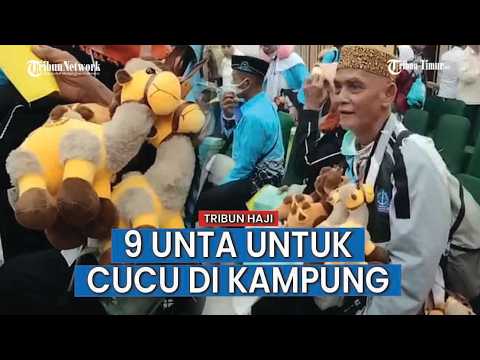 Kakek Kulasse Bawa 9 Unta Untuk Cucu di Soppeng thumbnail