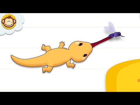 Cicak Cicak di Dinding 🦎 | Lagu Anak Indonesia BaLiTa | Baba Lili Tata thumbnail