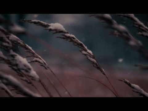 Rauf & Faik - Sabr (Lyric Video) thumbnail