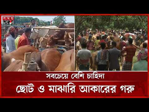 জমে উঠেছে কোরবানির পশুর হাট | Qurbani Haat 2026 | Somoy TV thumbnail