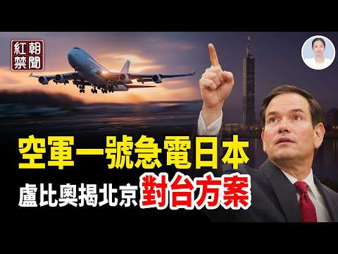 川普剛離京即連線高市 川習會國宴藏玄機 習靠美國上大學  150歲再被提出  習躲避嚇變臉  【紅朝禁聞】 thumbnail